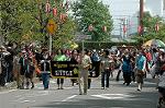 Dcim6013/DSC_8506