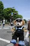 Dcim6014/DSC_6235