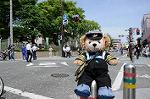 Dcim6014/DSC_6236