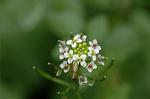 Dcim6021/DSC_8584