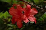 Dcim6021/DSC_8593