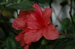Dcim6021/DSC_8598