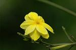 Dcim6021/DSC_8611