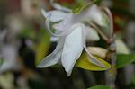 Dcim6021/DSC_8622