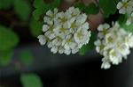 Dcim6021/DSC_8626