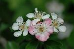 Dcim6021/DSC_8640