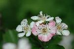 Dcim6021/DSC_8643