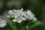Dcim6021/DSC_8647