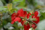 Dcim6021/DSC_8657