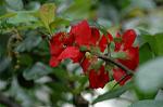 Dcim6021/DSC_8658