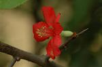 Dcim6021/DSC_8661