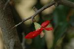 Dcim6021/DSC_8662