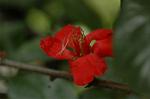 Dcim6021/DSC_8665