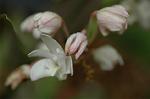 Dcim6022/DSC_8717