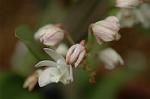 Dcim6022/DSC_8719