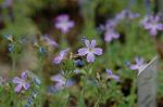 Dcim6022/DSC_8724