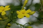 Dcim6022/DSC_8731