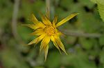Dcim6022/DSC_8818