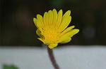Dcim6022/DSC_8819