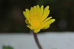 Dcim6022/DSC_8820