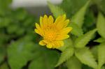 Dcim6022/DSC_8821