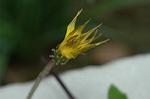 Dcim6022/DSC_8824