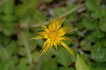 Dcim6022/DSC_8825
