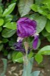 Dcim6022/DSC_8827