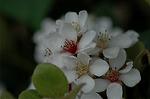 Dcim6023/DSC_8871