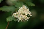Dcim6023/DSC_8921