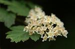Dcim6023/DSC_8922