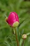 Dcim6024/DSC_8958