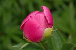 Dcim6024/DSC_8960