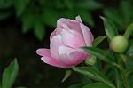 Dcim6024/DSC_8961