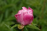 Dcim6024/DSC_8965