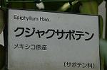 Dcim6026/DSC_9152