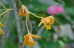 Dcim6026/DSC_9155