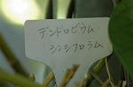 Dcim6026/DSC_9162