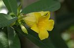 Dcim6026/DSC_9176