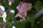 Dcim6026/DSC_9187