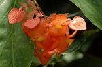 Dcim6026/DSC_9193