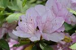Dcim6027/DSC_9228