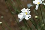 Dcim6027/DSC_9295