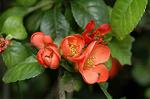 Dcim6030/DSC_9549