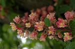 Dcim6031/DSC_9726