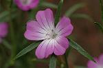 Dcim6032/DSC_9780
