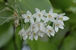 Dcim6032/DSC_9782