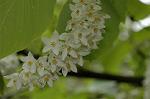 Dcim6032/DSC_9791