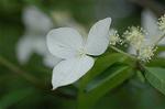 Dcim6032/DSC_9855