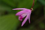 Dcim6033/DSC_9921